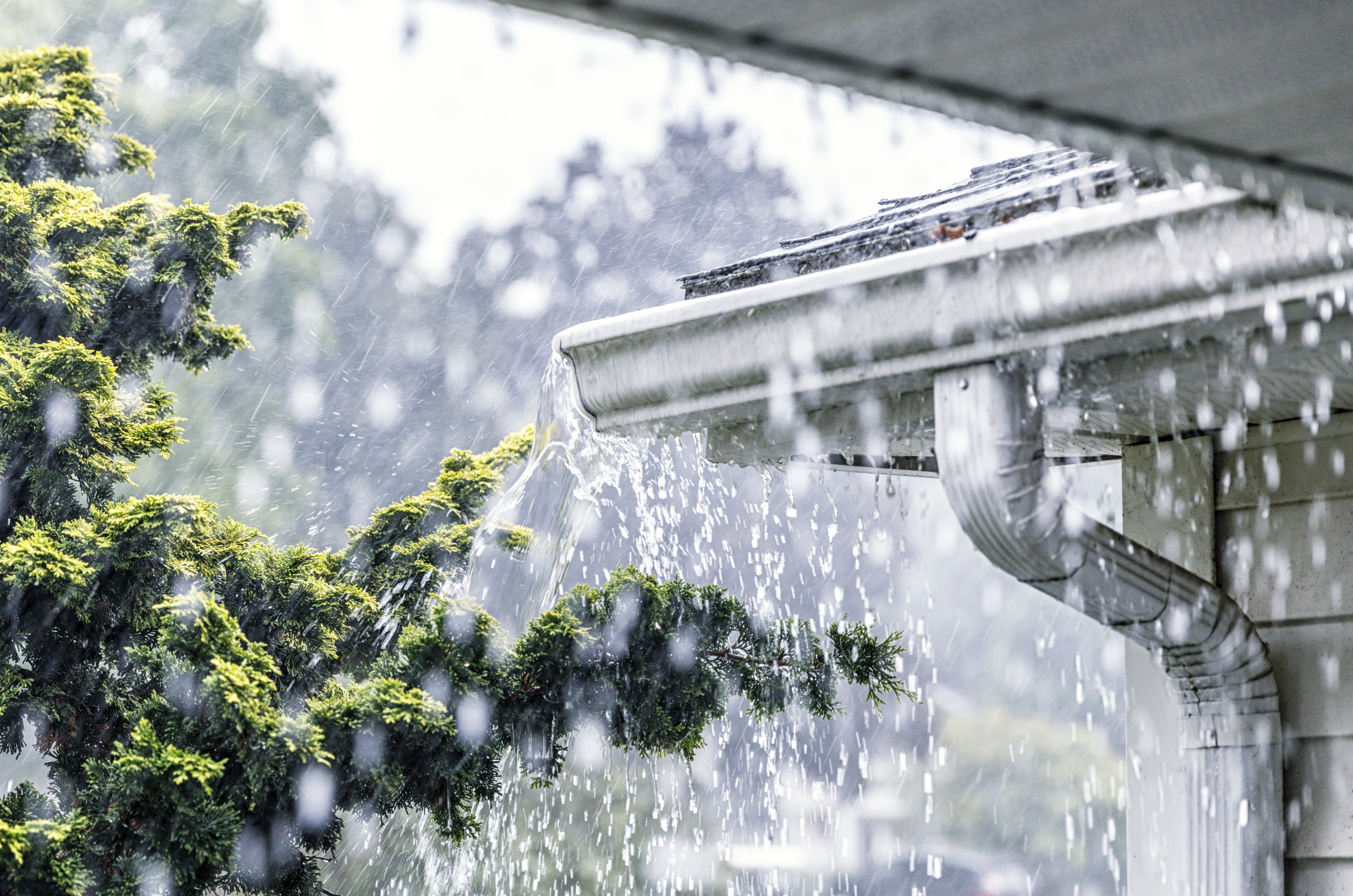 How to Prepare Your Home's Electrical System for Spring Weather